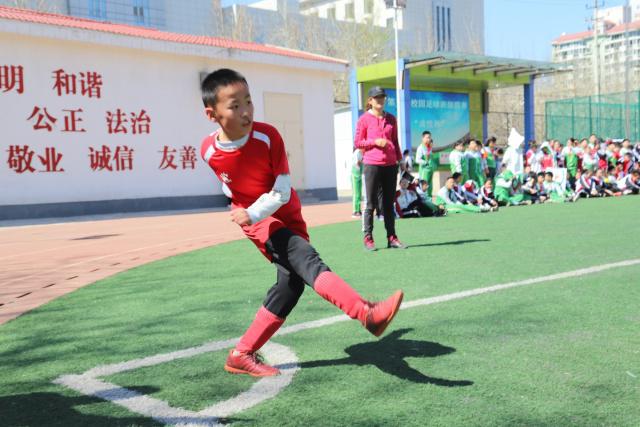 乔尔杰维奇谈弃用大王：胡金秋更适合这场比赛